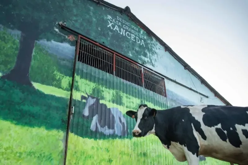 Casa Grande de Xanceda